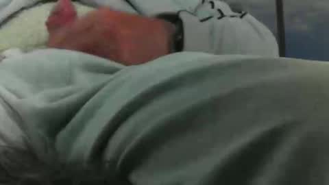 leckfreund53 online show from October 3, 7:38 am