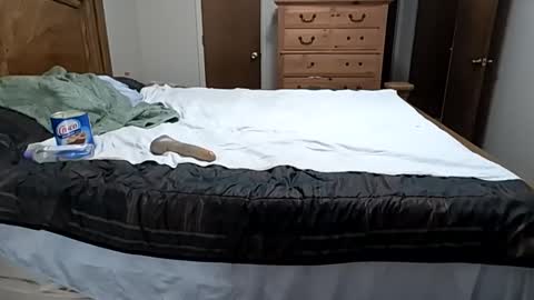 legspreadkink online show from November 7, 2:47 am