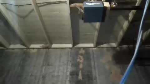 leo199984 online show from November 23, 4:43 am