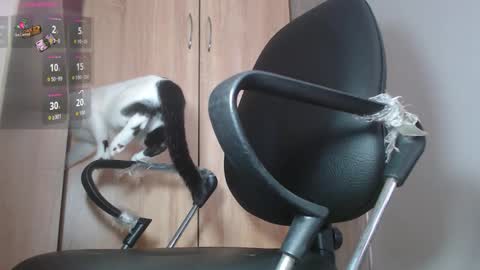 iam leonal online show from November 13, 7:27 pm