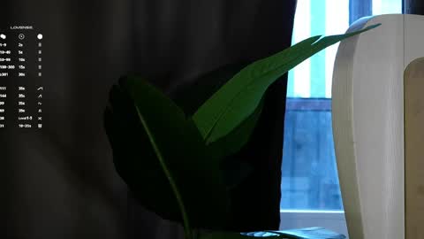 Mila online show from April 23, 3:47 am