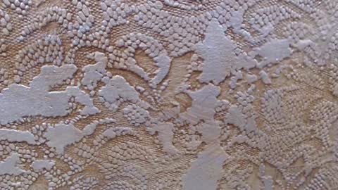 leoroman online show from February 6, 6:24 pm