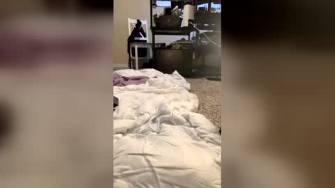 lep1310 online show from December 3, 6:14 am