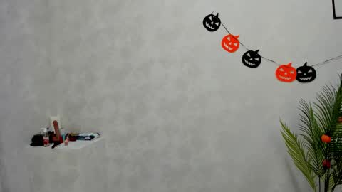 Lesley online show from October 16, 8:03 am