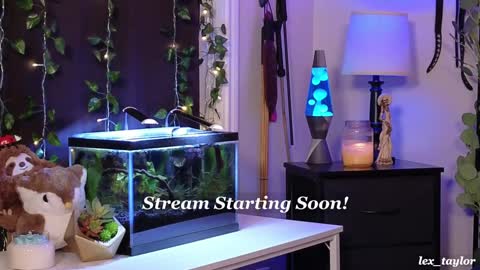 Lex online show from January 15, 3:22 am