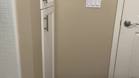 Lex North online show from November 17, 8:22 pm