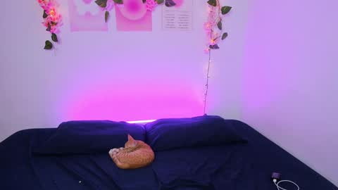 Lia R  online show from December 1, 10:01 pm