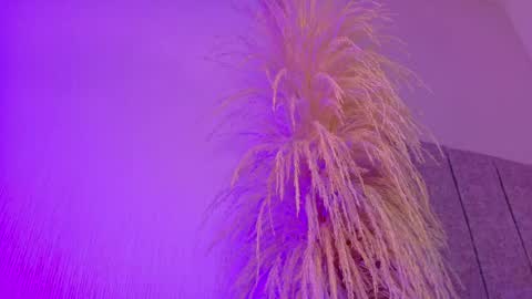 Liiam Luna online show from April 20, 11:02 am