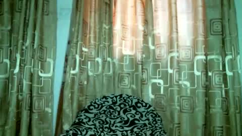 serenity online show from April 11, 7:45 am