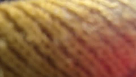 lildink679199 online show from February 28, 9:13 am