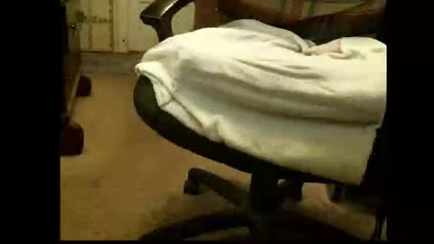 Sasquatch online show from March 1, 5:39 pm