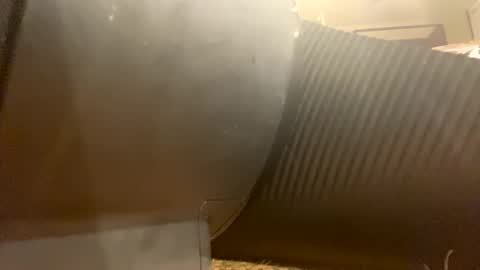 Richie Rich online show from December 18, 1:56 pm