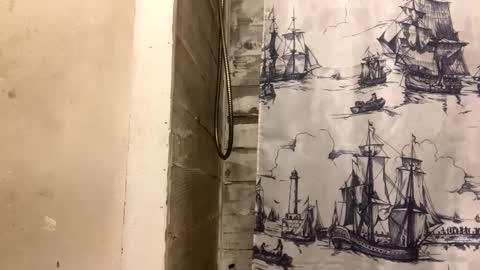 Richie Rich online show from December 7, 10:39 am