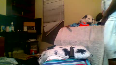 Richie Rich online show from January 5, 8:22 am