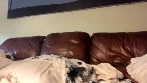 Richie Rich online show from December 6, 4:22 pm