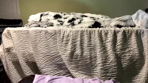 Richie Rich online show from December 13, 7:10 pm