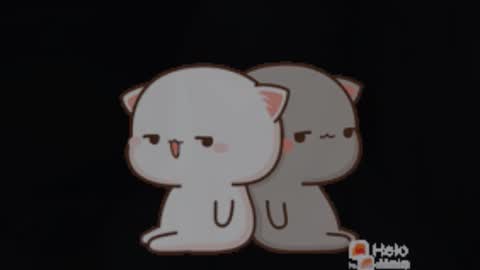 Luna online show from November 17, 10:29 am