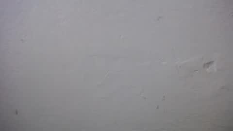 lisa_branch online show from December 20, 11:17 am