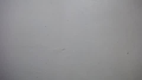 lisa_branch online show from January 7, 7:08 pm