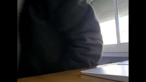 liveyisus online show from December 1, 11:08 am