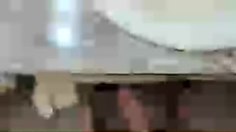 Lkstojrk online show from July 16, 4:38 am
