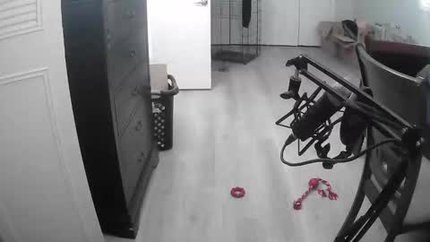 lohangwang69 online show from February 15, 9:46 pm