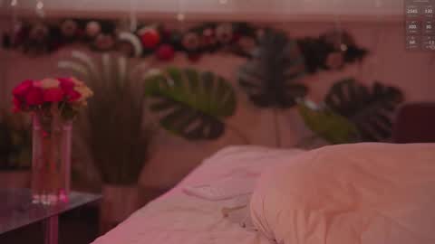 Nelly online show from January 15, 11:41 am