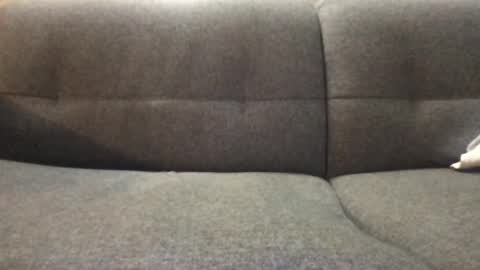 Dynasty online show from September 13, 7:33 am