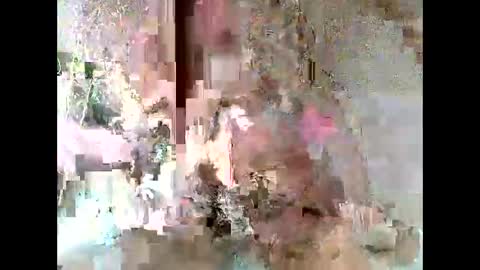 daddy17 online show from May 31, 2:38 pm