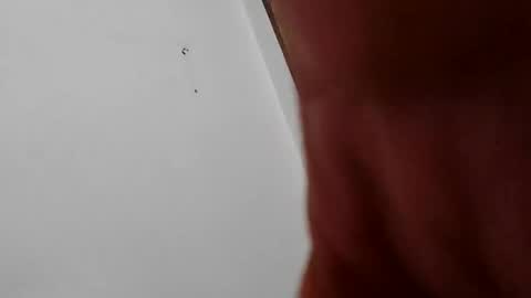 Hairyman online show from September 12, 7:21 am