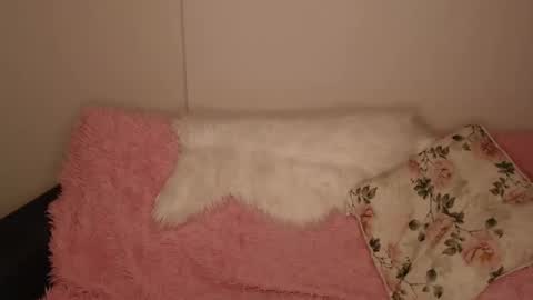 Luna online show from December 20, 2:35 pm