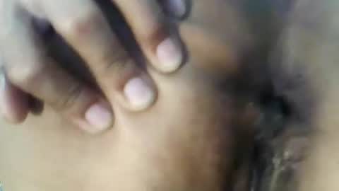 Bee Bee online show from December 4, 6:46 am