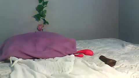 Bee Bee online show from October 14, 5:32 am