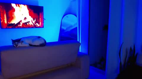 Meli online show from May 25, 1:34 am