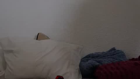 Matt online show from July 26, 2:31 am