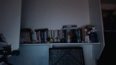 Letty online show from November 9, 12:19 pm