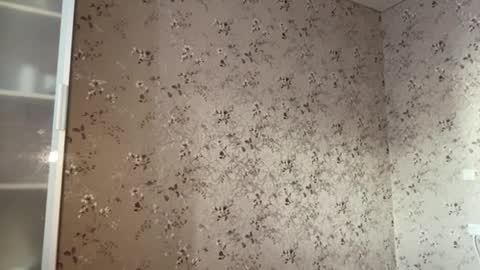 DIna online show from March 28, 1:45 pm