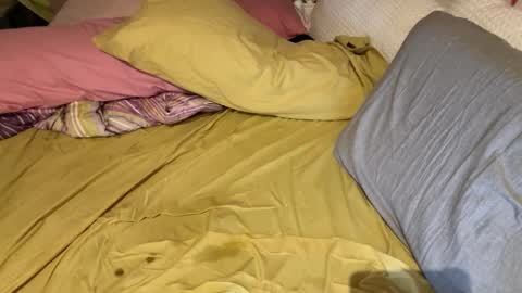 Follow please and enjoy  online show from October 13, 6:10 pm