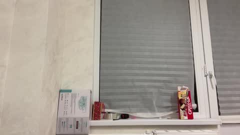 Tom and Mark 3 online show from January 25, 3:09 pm