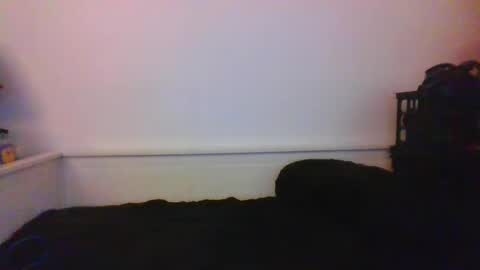 Snapshot of malebdsmslut chatting on January 24, 4:37 am CommandbondageNipples bondage kink submissive lovense slave wgear. modequiethvyBondage If Password goldfish online show from January 24, 4:37 am