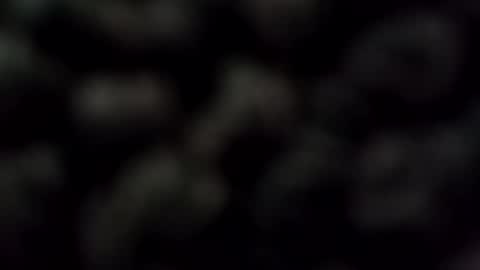 malecougar online show from December 28, 11:59 pm