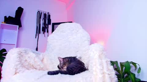 manuevans10 online show from December 17, 9:32 pm