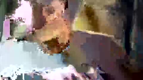 maravillanelsonernesto online show from November 22, 7:56 pm