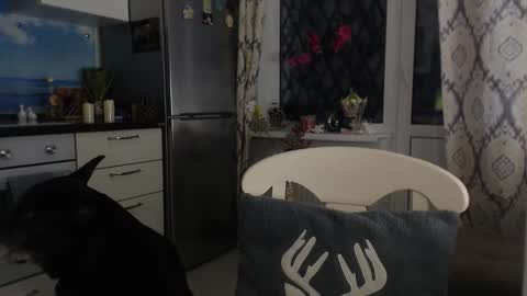 MarianaMur online show from November 29, 8:22 am