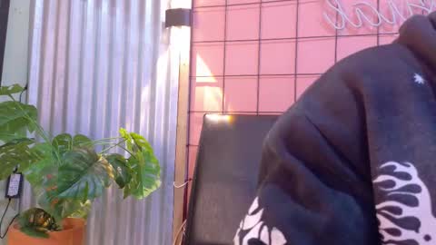 Martin online show from January 15, 1:36 am