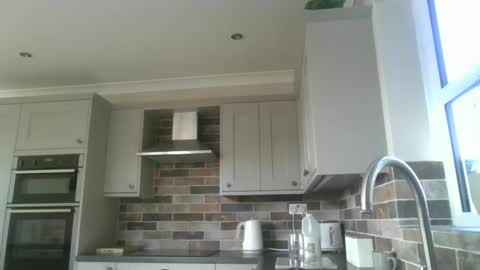 martinrgbxxxx online show from April 13, 8:07 am