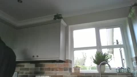 martinrgbxxxx online show from December 15, 9:56 am