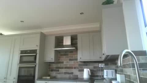 martinrgbxxxx online show from April 14, 8:17 am