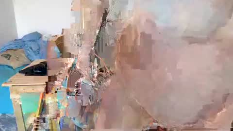 Moose online show from January 21, 9:13 am