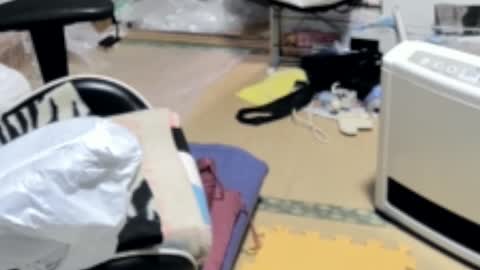 masayann online show from December 19, 7:07 am